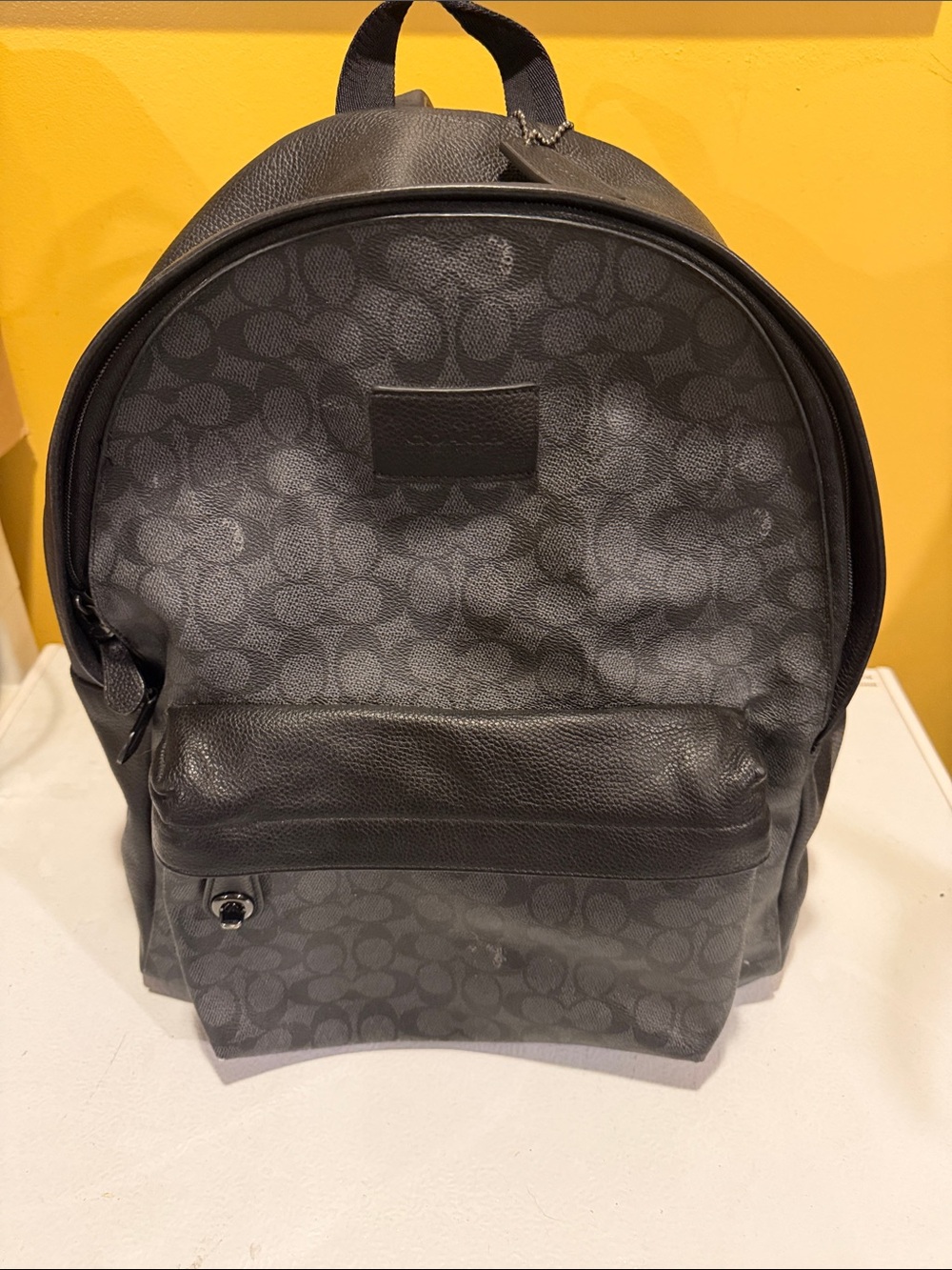 Coach Men's Gray/Black Signature Canvas Backpack